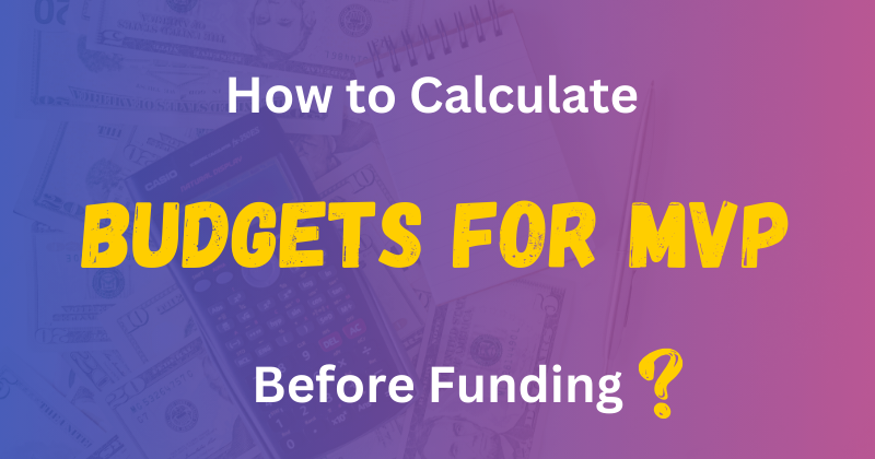 How to calculate budgets for MVP before funding in 2024